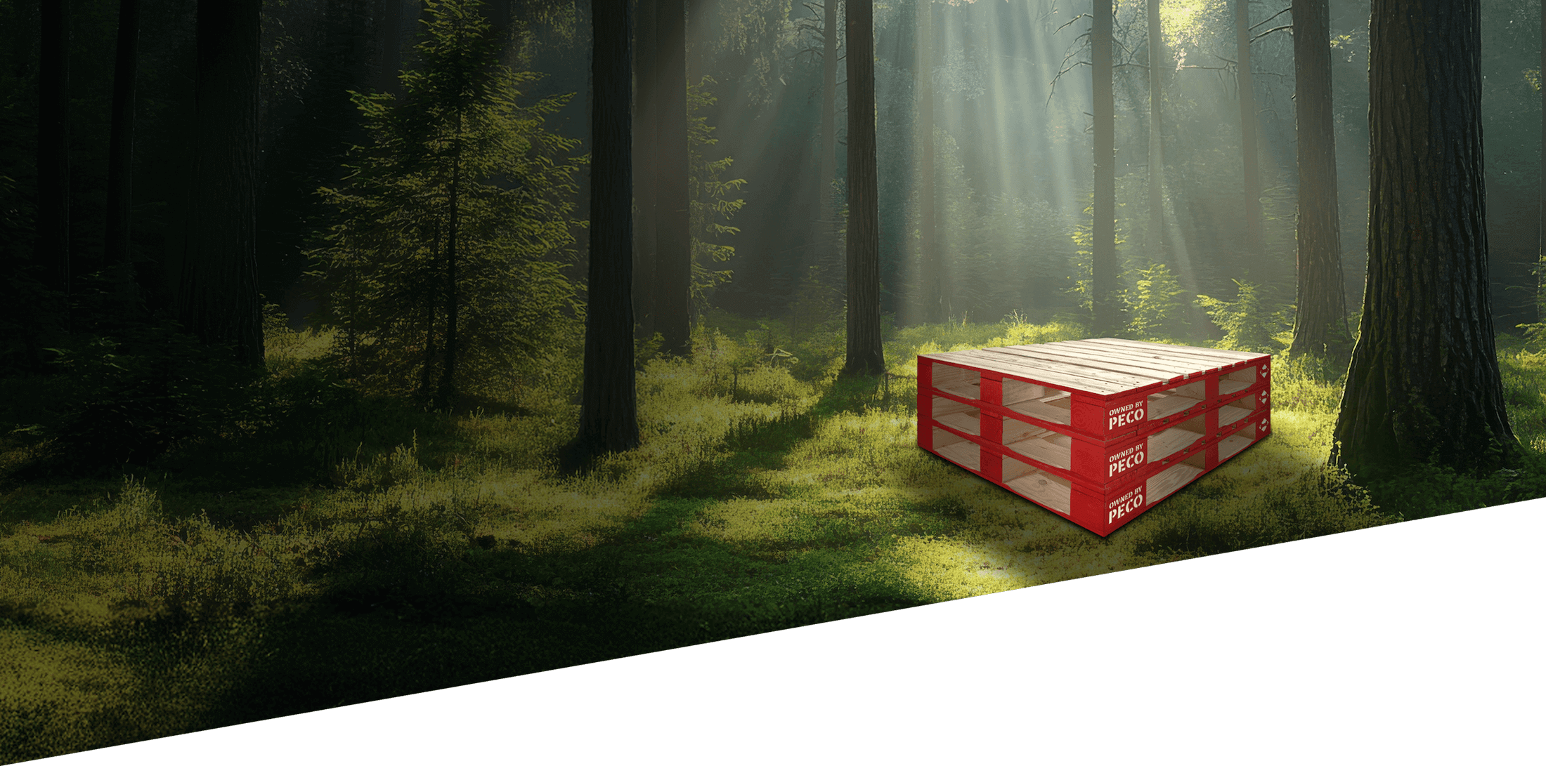 Banner Image of Home Page - Stacked of PECO Pallets on a folklift with two PECO workers.